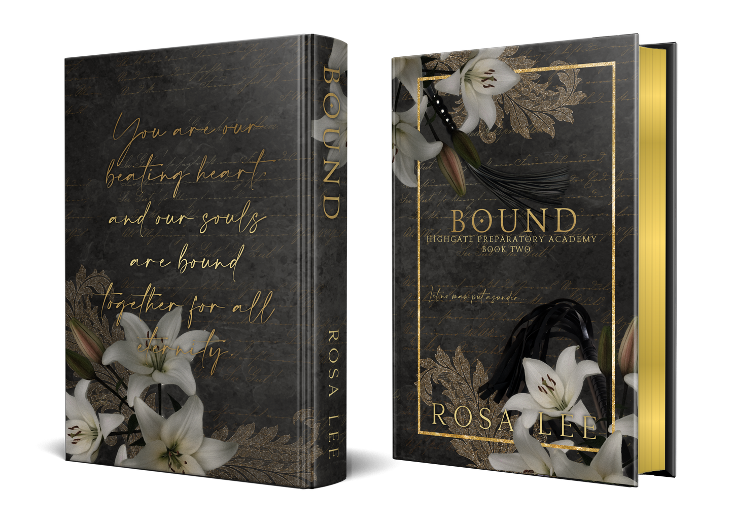 Highgate Special Edition Hardback Book Box