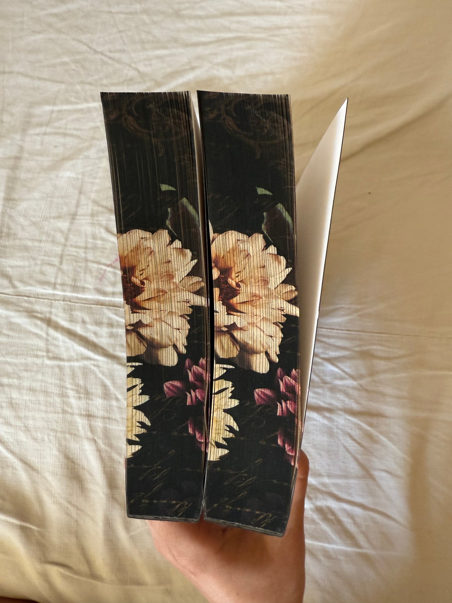 Addicted Special Edition Paperback Bundle - Dirty Little Shop