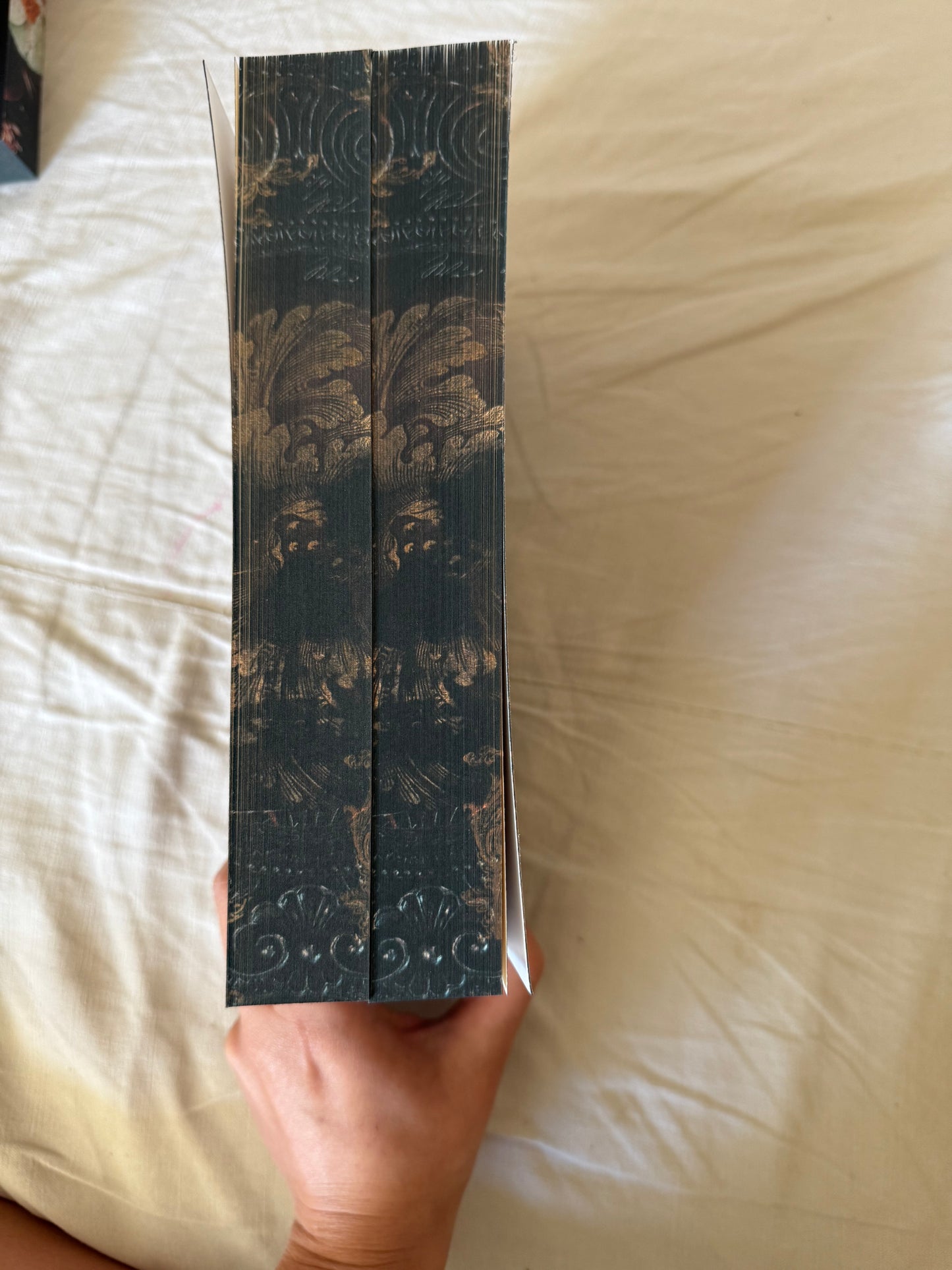 Addicted Special Edition Paperback Bundle