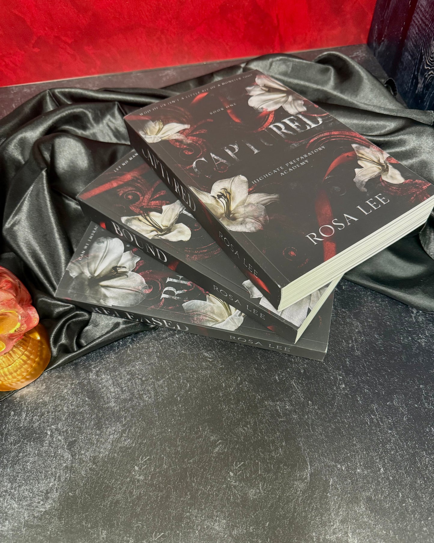 Captured, Bound, Released Matte Paperbacks - Dirty Little Shop