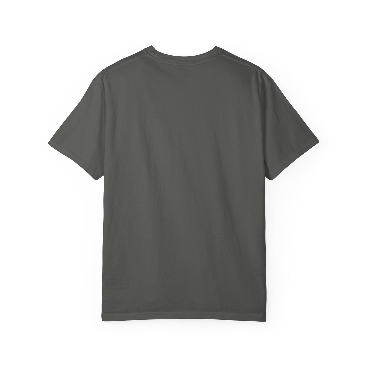D*cks everywhere Tee