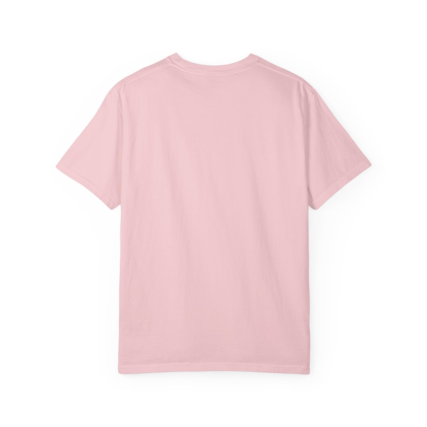 D*cks everywhere Tee