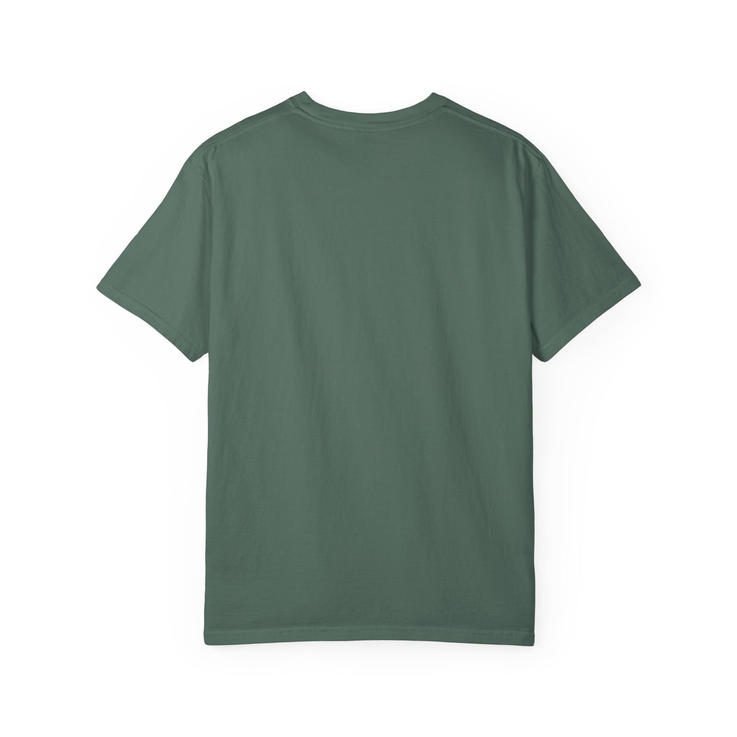 D*cks everywhere Tee