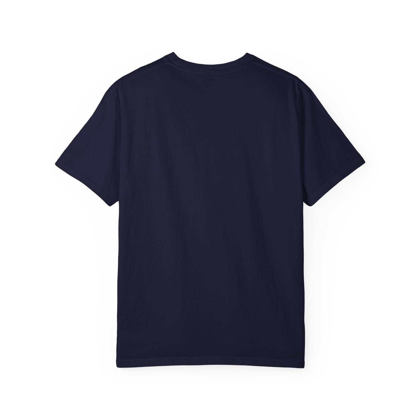 D*cks everywhere Tee