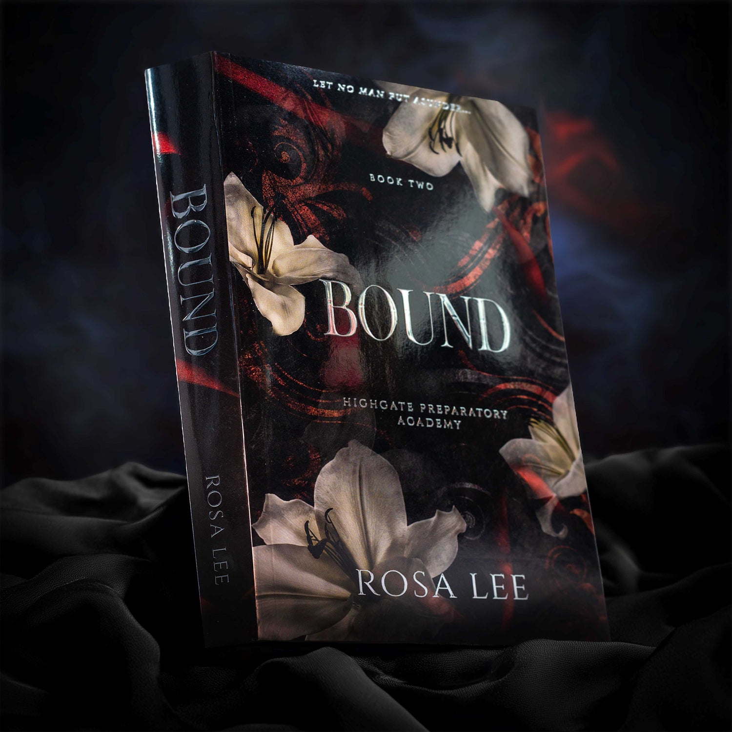 Highgate Preparatory Academy Special Edition Foiled Paperbacks - Hand signed complete collection - Dirty Little Shop