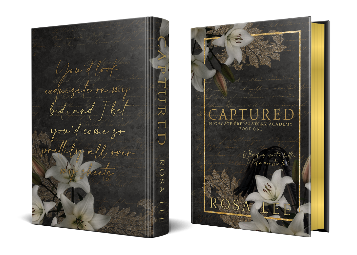 Highgate Special Edition Hardback Book Box