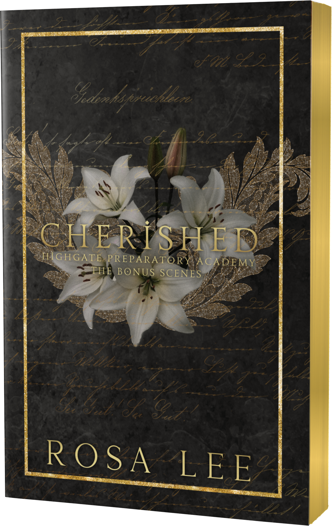 Highgate Special Edition Hardback Book Box