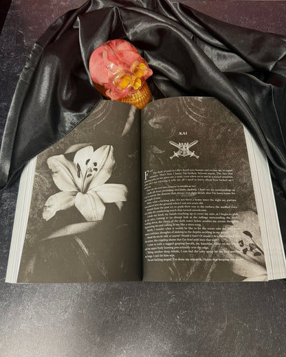 Conquered Paperback - Dirty Little Shop