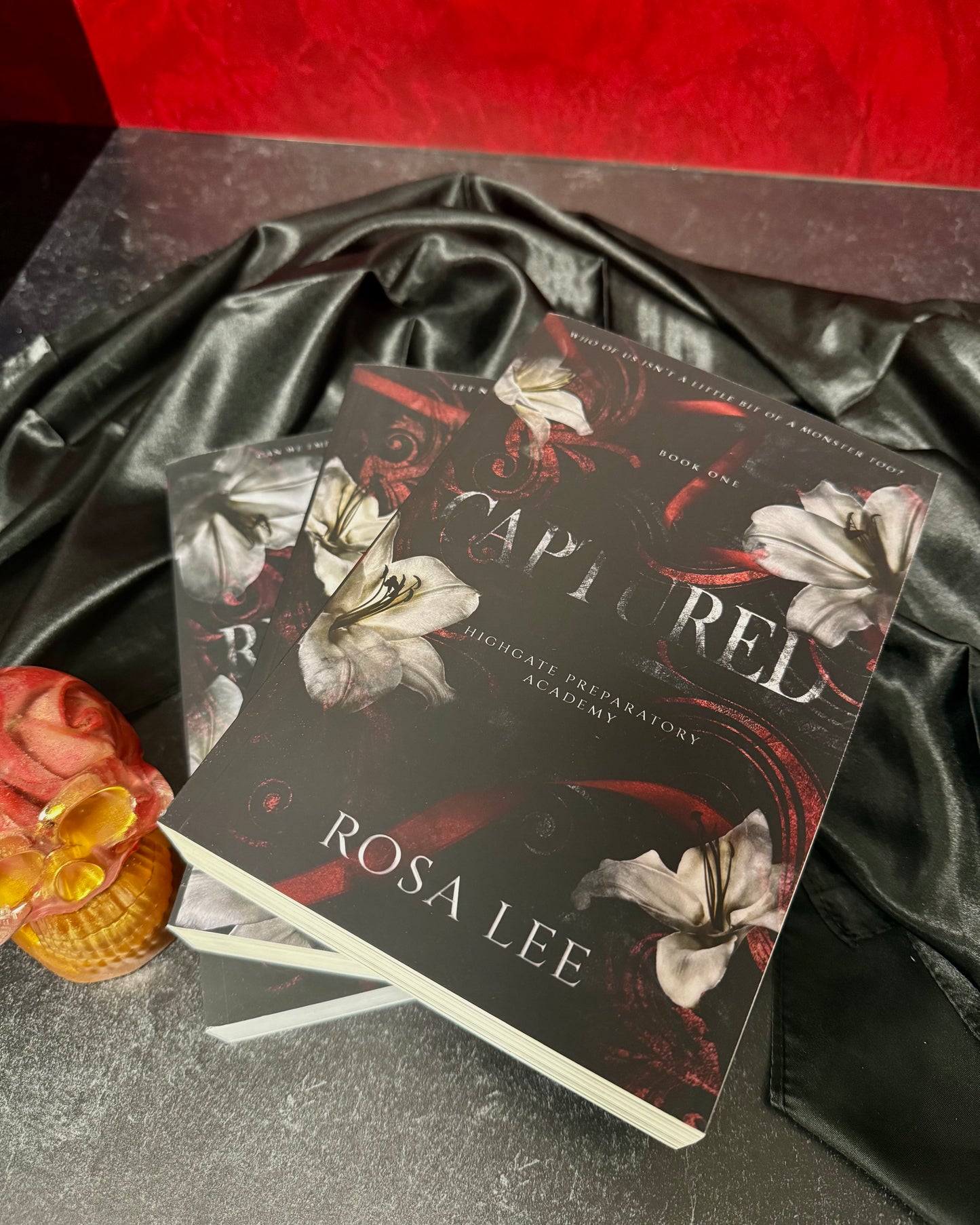 Captured, Bound, Released Matte Paperbacks - Dirty Little Shop