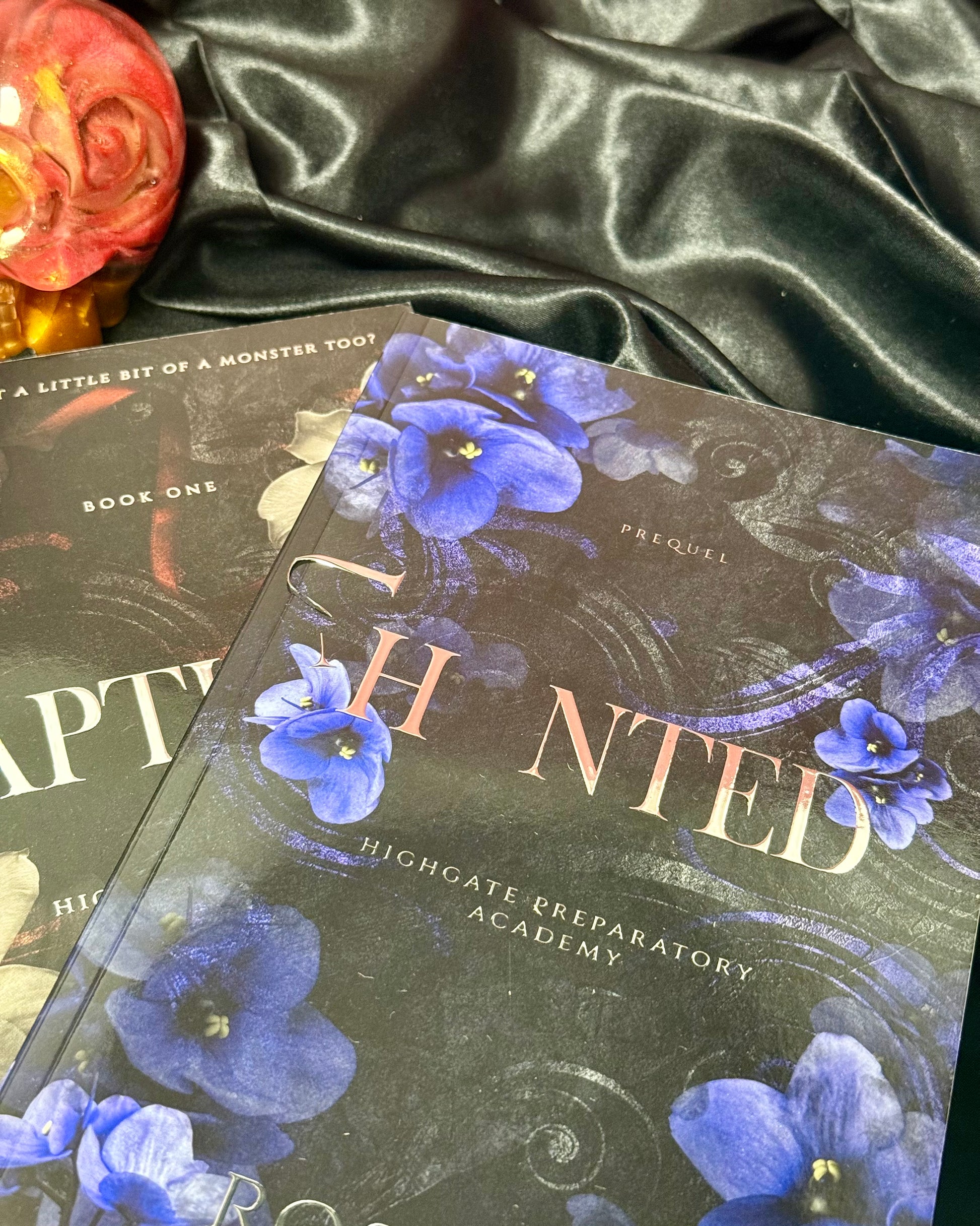 Hunted & Captured foiled paperbacks - Dirty Little Shop